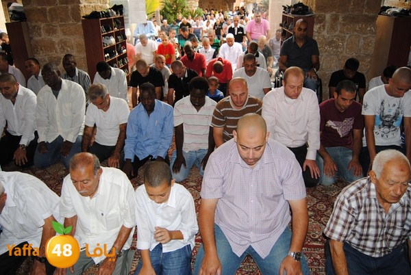 mahmoduia 3eed 808 (49).JPG